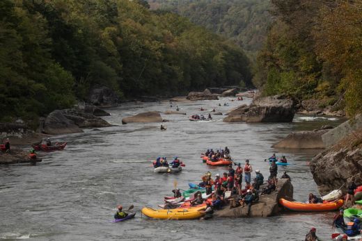 GOOD GAULEY!